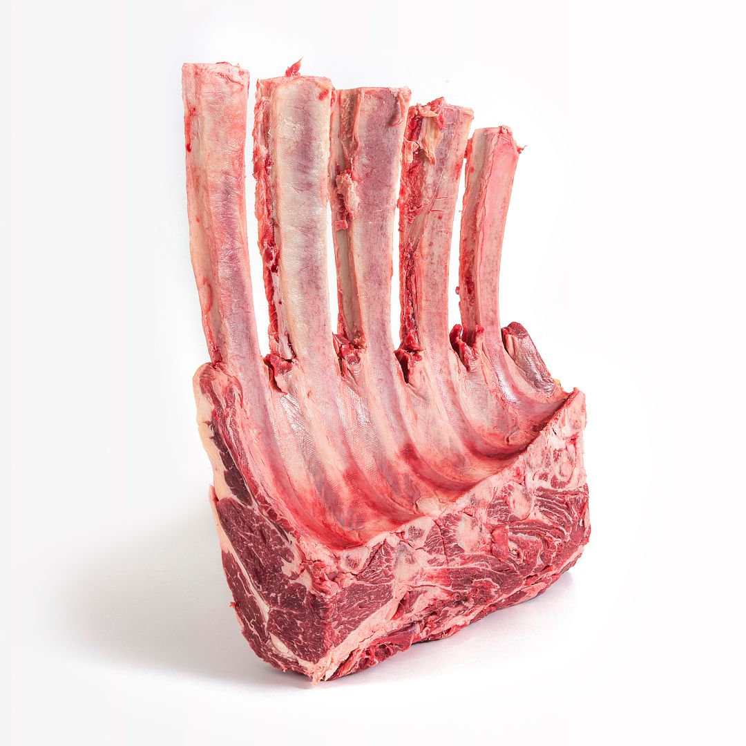 TOMAHAWK RACK 5 COSTE ITALIA_403